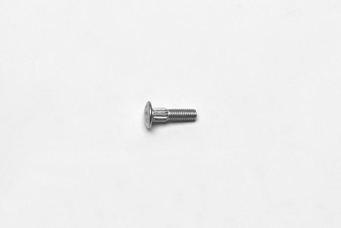 Bolt-Round Head