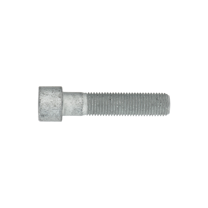 Bolt-Socket Head