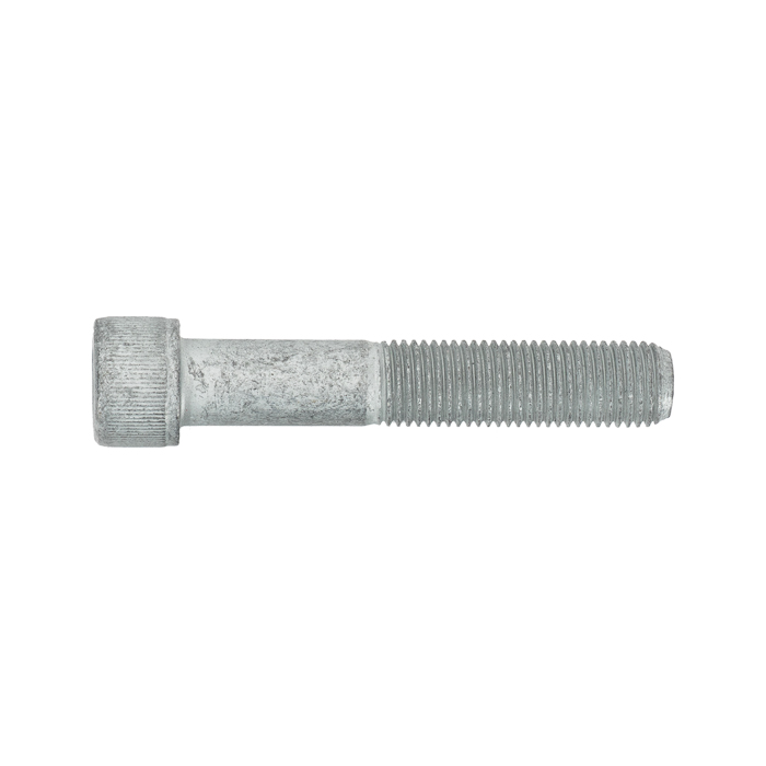 Bolt-Socket Head