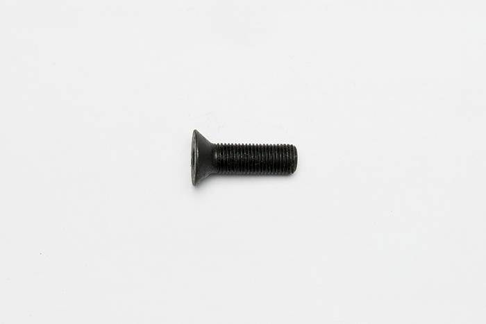 Bolt-Flat Head