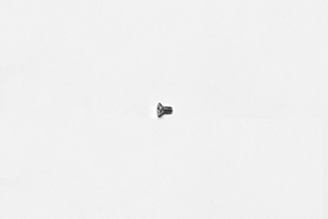 Bolt-Flat Head