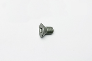 Bolt-Flat Head