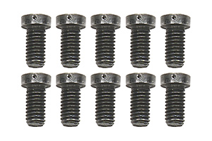 Bolt Kit-Rotor