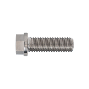 Bolt-Hex Head Flanged