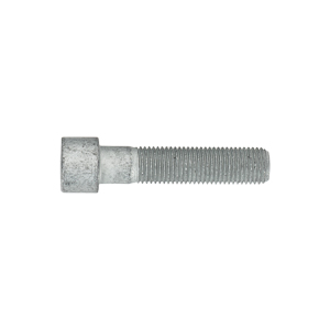 Bolt-Socket Head