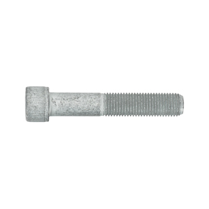Bolt-Socket Head