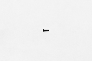 Rivet