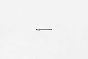 Rivet
