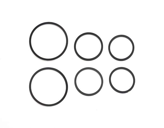 Caliper Square Ring Kit